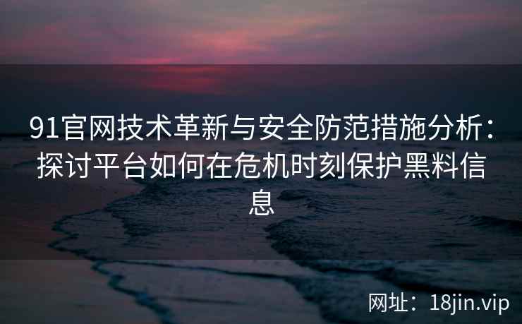 91官网技术革新与安全防范措施分析:探讨平台如何在危机时刻保护黑料信息 91官网技术革新与安全防范措施分析:探讨平台如何在危机时刻保护黑料信息