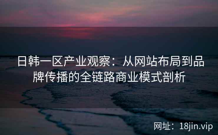 日韩一区产业观察：从网站布局到品牌传播的全链路商业模式剖析