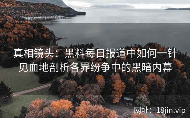 真相镜头：黑料每日报道中如何一针见血地剖析各界纷争中的黑暗内幕