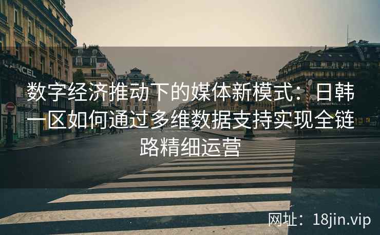 数字经济推动下的媒体新模式:日韩一区如何通过多维数据支持实现全链路精细运营 数字经济推动下的媒体新模式:日韩一区如何通过多维数据支持实现全链路精细运营