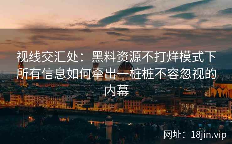 视线交汇处：黑料资源不打烊模式下所有信息如何牵出一桩桩不容忽视的内幕